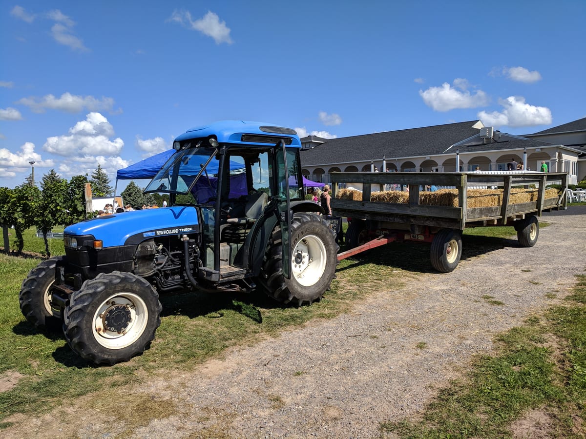 Blue tractor hitched to a hay-bale wagon on a gravel lane between grapevines and the long white winery building at Casa Larga